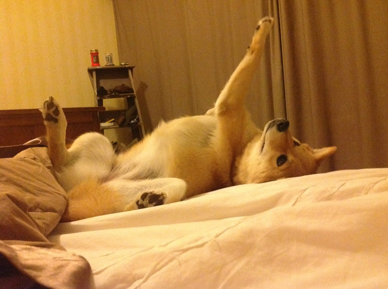 新王当立！拉梅洛·鲍尔关键战一箭穿心，独行侠加时鏖战力克骑士